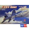 F/A-18D Hornet