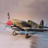 Curtiss Tomahawk IIB - Imagen 3
