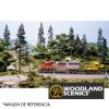 Learning kit - trees - Imagen 3
