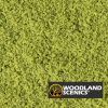 Follaje - Verde claro - Grueso (coarse) - Imagen 2