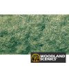 Follaje - Rebaño - Verde medio - Imagen 2