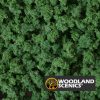 Follaje - Arbustos - Verde oscuro - Imagen 2