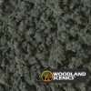 Follaje - Arbustos - Verde forestal - Imagen 2