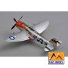 P-47 Rat Hunter - Imagen 2