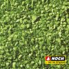 Follaje verde claro - Imagen 2