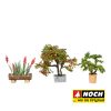 Plantas ornamentales - Imagen 2