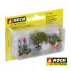 Plantas ornamentales