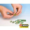 Plantas de helechos - Imagen 2