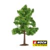 Arboles Caducifolios - Imagen 2