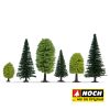 Bosque mixto - Imagen 2