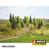 Bosque mixto - Imagen 3