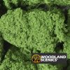 Follaje (racimos) - Verde medio - Imagen 2