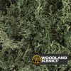 Liquen - Verde oscuro - Imagen 2