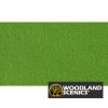 Follaje - Césped fino - Verde - Imagen 2