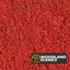 Follaje - Pasto grueso - Rojo otoño - Imagen 2